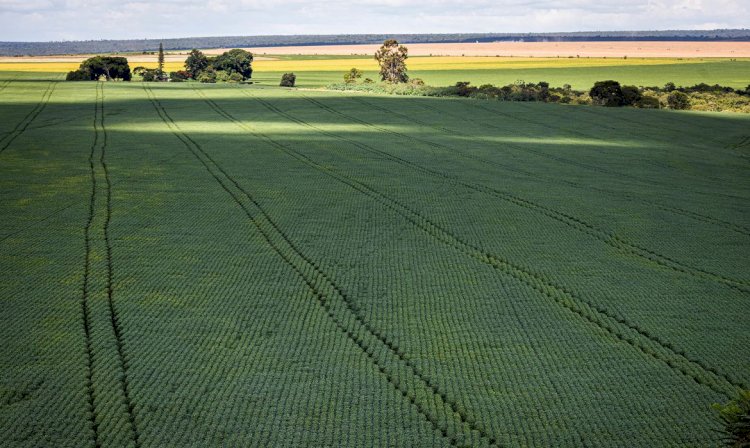 Produção de grãos deve chegar a 312,4 milhões de toneladas em 2023