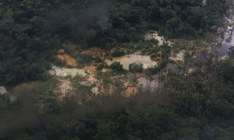 PF combate comércio de ouro extraído ilegalmente de TI Yanomami