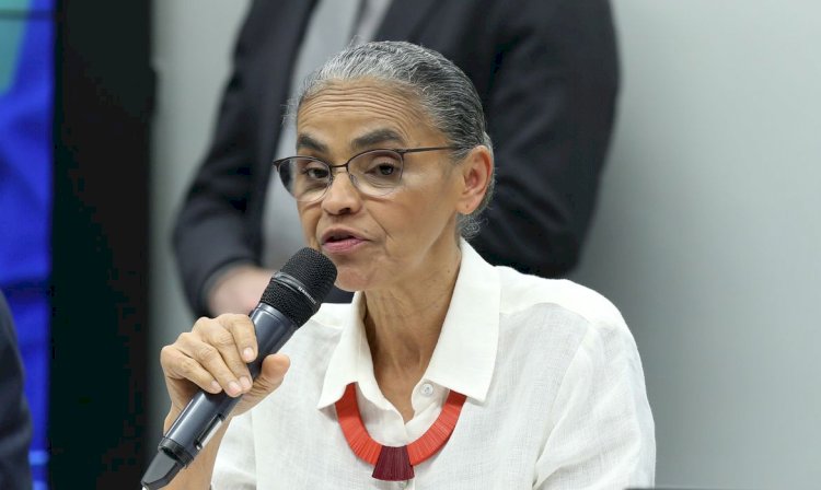 Marina Silva diz que Lula vai vetar trecho da MP da Mata Atlântica