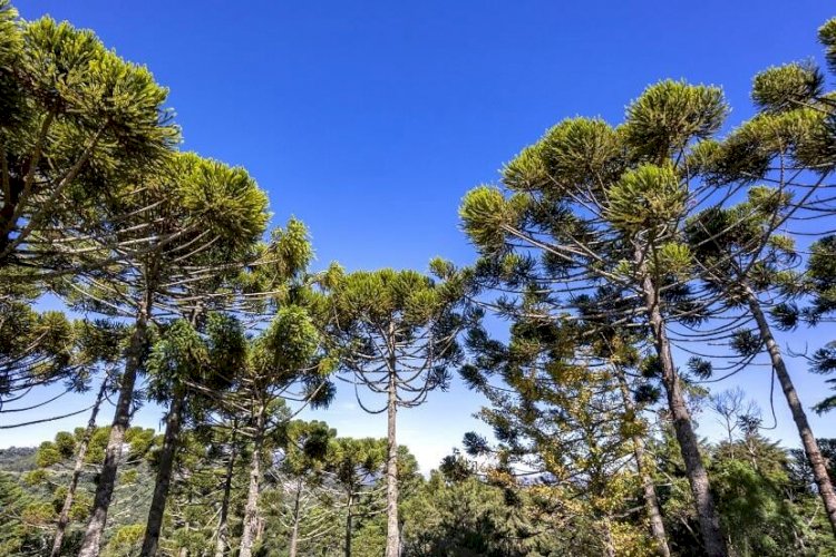 Dia seco e com muito sol em quase todo o Brasil