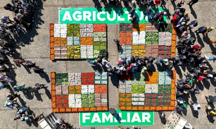 Programa de Aquisição de Alimentos é publicado no Diário Oficial