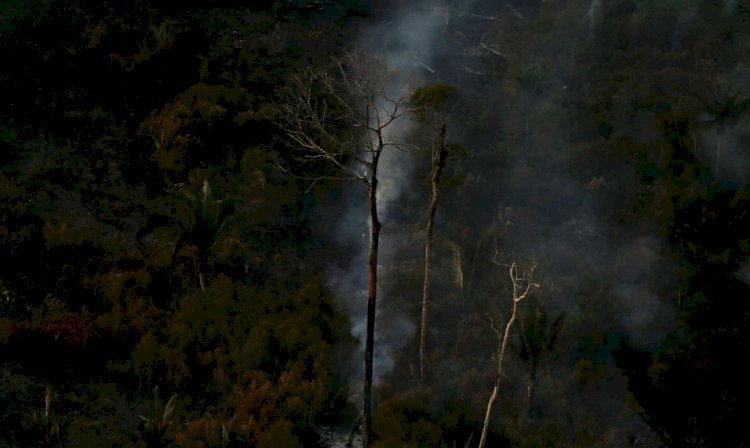 País teve 2,15 milhões de hectares queimados no primeiro semestre