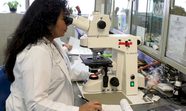 Programa Futuras Cientistas tem 470 vagas para alunas e professoras