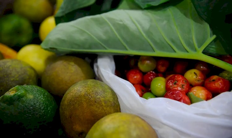 Registro de novos agrotóxicos segue em alta no Brasil, diz Mapa