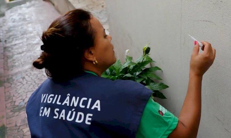 Estado de São Paulo tem sete mortes por dengue em 2024