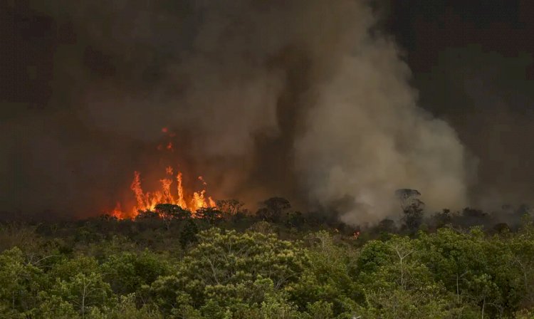 Brasil tem 22,38 milhões de hectares atingidos pelo fogo em nove meses