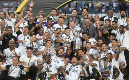 Retrospectiva: 2024, o ano do Botafogo