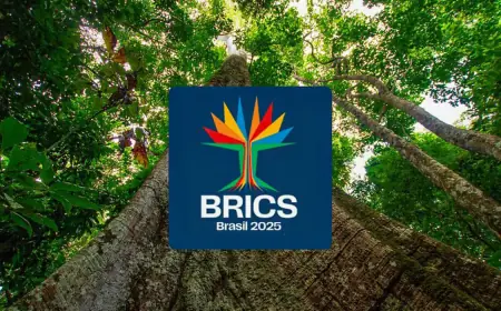 Brics têm mais de 40% da população e 37% do PIB mundiais