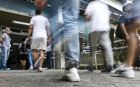 Concurso do Ibama terá 460 vagas com salários de R$ 9,9 mil