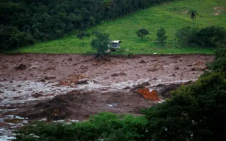 MAB organiza atos para lembrar seis anos da tragédia em Brumadinho