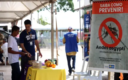 Casos de dengue no Brasil caem 60% nas primeiras semanas do ano