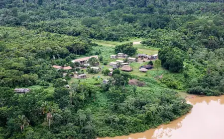 Indígenas relatam novo ataque armado à TI Apyterewa, no Pará
