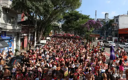 Último dia de carnaval em São Paulo tem 58 blocos na rua