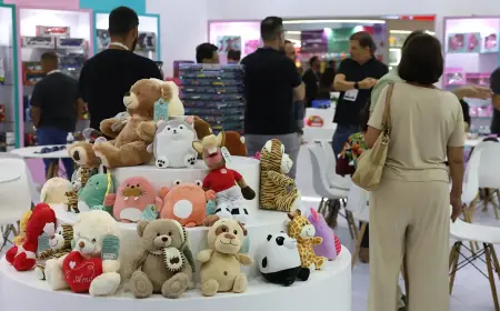 Mercado de brinquedos cresceu 36% em vendas em 4 anos, diz Abrinq