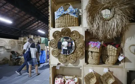 Revelando São Paulo abre inscrições para artistas e expositores