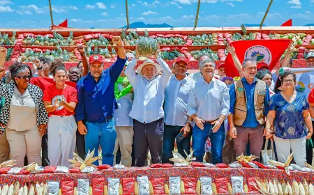 Lula entrega mais de 12 mil lotes de terras da reforma agrária
