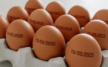 Calor extremo, alta do milho e quaresma pressionam preço do ovo