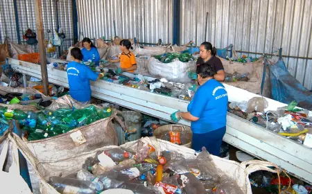 Em dois anos, país aumenta reciclagem de embalagens PET em 14%
