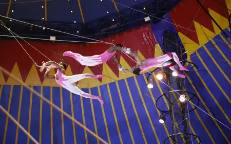 Edital de apoio a circos distribuirá até R$ 400 mil em São Paulo