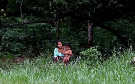 Preservação de biomas em terras indígenas é 31% maior, diz ISA