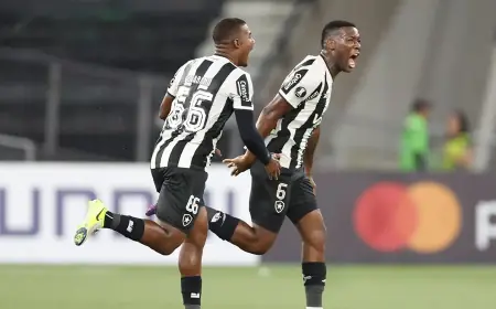 Botafogo vence primeira na Copa Libertadores