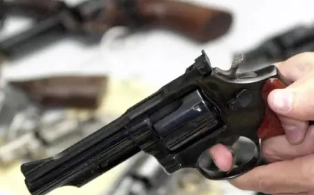 Comissão da Câmara aprova porte de arma para oficiais de justiça