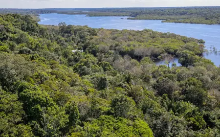 Corpo de piloto desaparecido na Amazônia é encontrado