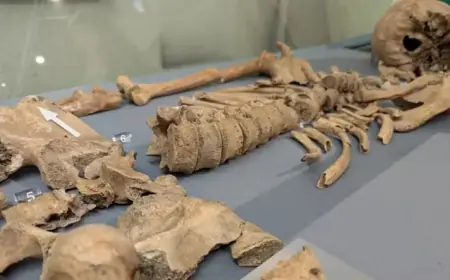 As marcas de mordidas encontradas em esqueleto que revelam combates entre gladiadores e leões