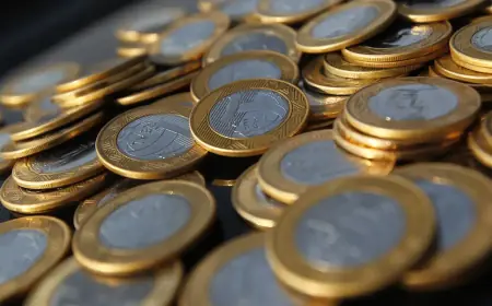 Google reexibe conversor de real para outras moedas após quatro meses