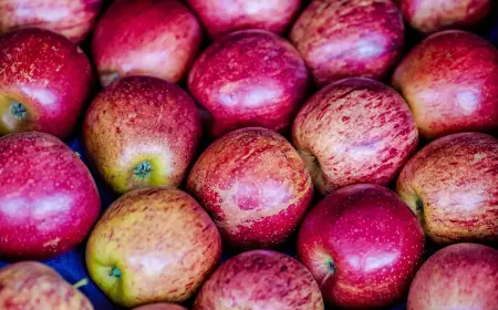 Exportação de frutas cresceu 26% no primeiro trimestre de 2025