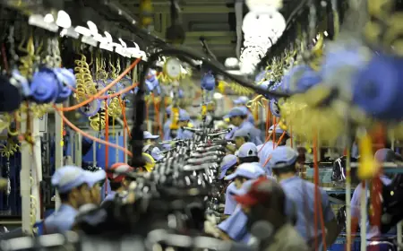 Desconhecimento de direitos básicos é desafio para trabalhadores