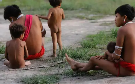 Número de óbitos no território Yanomami teve redução de 21% em 2024