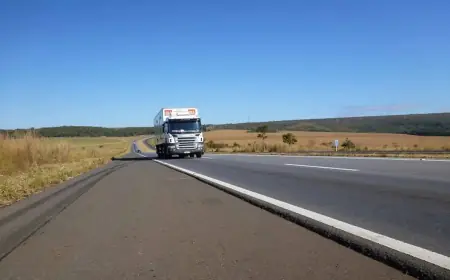 Consórcio K&G Rota da Celulose vence leilão de rodovia em MS