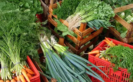 Custo de cesta básica ideal para uma pessoa chega a R$ 432 em abril