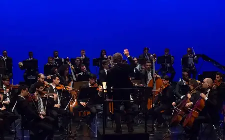 Orquestra de Câmara da USP celebra 30 anos com concertos gratuitos
