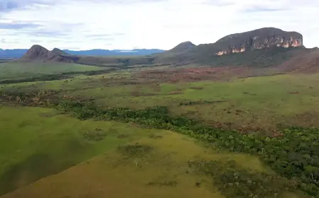 Cerrado: preservação e negócios são tema do Caminhos da Reportagem