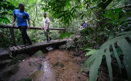 Confira os principais cuidados a serem tomados ao fazer trilhas