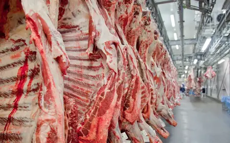 Exportação de carne bovina bate recorde em mês anterior ao tarifaço