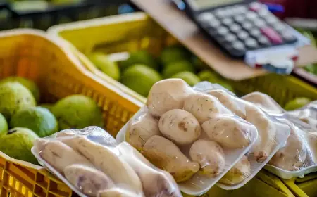 Batata e cebola estão mais baratas, diz Conab