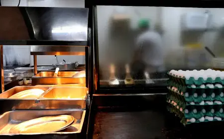 Setor de serviços atingiu recorde de 15,2 milhões de empregos em 2023