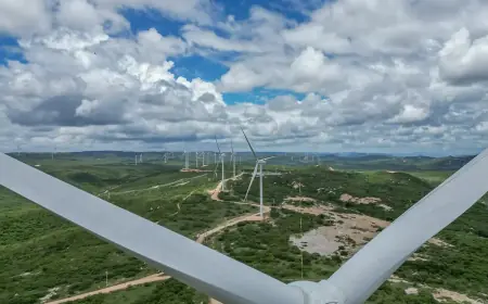 BNDES lança fundos para a economia verde