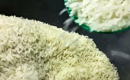 Conab anuncia R$ 300 milhões para produtores de arroz na safra 2025/26