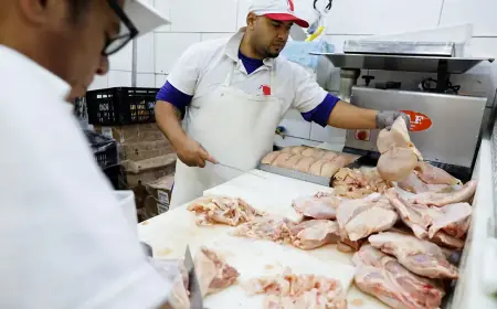 União Europeia reconhece o Brasil como livre de gripe aviária