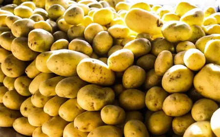 Batata, ovos e verduras reduzem pressão inflacionária em agosto em SP
