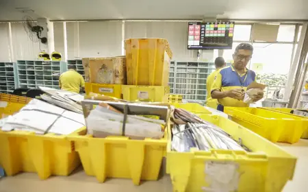 Aporte aos Correios é condicionado a plano de recuperação, diz Haddad