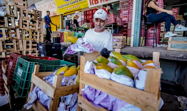 Conab registra queda de preços da alface em dezembro