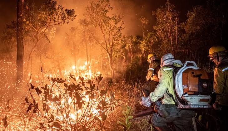 Incêndios na Amazônia aumentam em meio à disputa eleitoral e levam autoridades a investigar possíveis ações criminosas
